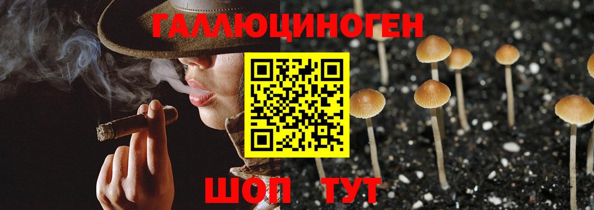 что такое наркотик  Псилоцибиновые грибы ЛСД  Вход с VPN  Галлюциногенные грибы GOLDEN TEACHER  Волжск 